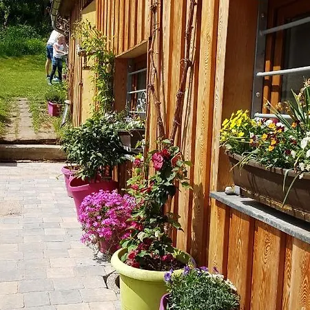 Apartment Schneestern Suhl Exterior foto